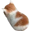 1bsadcat emoji