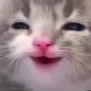 kittenhappy emoji