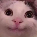 cutesmilecatmeme emoji
