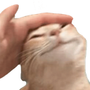 patcat51 emoji