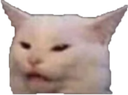 pissedcat emoji