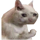 sadcat emoji