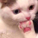 HBIp_CatPawBite emoji