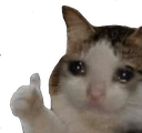 Sad_Cat_Thumbs_Up emoji