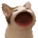 popCat emoji