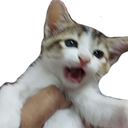 screaming_kitten emoji