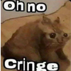 oh_no_cringe_cat emoji