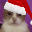 ChristmasCatStare emoji