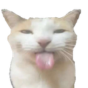 BLEHHHHH_Cat emoji