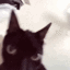Catshake emoji