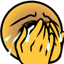 cry_hands emoji