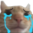 swagcry emoji