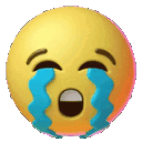 cry_gif_nod emoji