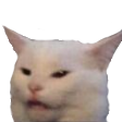confusedcat14 emoji