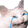 catcry emoji
