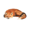 sleepingfox emoji