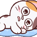1299meongcry emoji