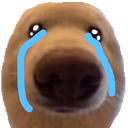 c_crys emoji