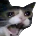 catscream emoji