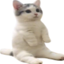 catsittingverycomfortable emoji