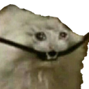 SadCableCat emoji