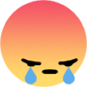 0angrycry emoji