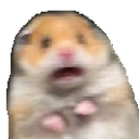 6814scaredhampter emoji