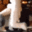 fight_furry emoji