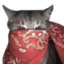 4373redbandanacat emoji