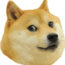 Doge emoji