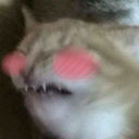 sonrojadoof emoji