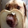 dogebread emoji