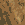 zaliponPEPESTAN21 emoji