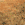 zaliponPEPESTAN16 emoji