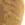 zaliponPEPESTAN23 emoji
