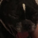 Doge emoji