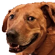 PepestanDogSmile emoji