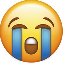 skyfall_loudly_crying emoji