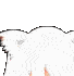 neko_peek2 emoji