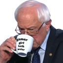GamerBern emoji
