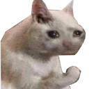 sadcat emoji
