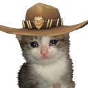 cowboycat emoji