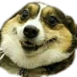 7490_happyboi emoji