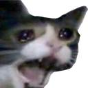 sadcat emoji
