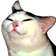 smugcat emoji