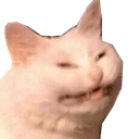 smirkcat emoji