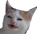 catnobanana emoji