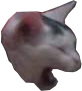 catscream emoji