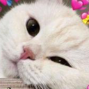 r_cutekitty emoji