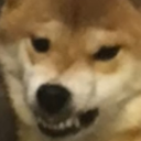 AngryDoge emoji